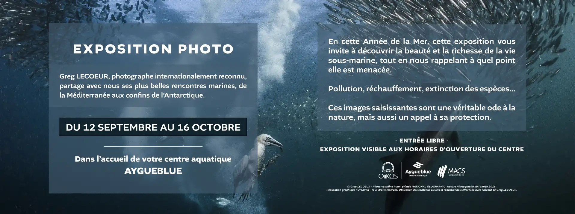 exposition photo